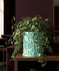 A light blue planter pot with a green ivy plant on a dark wooden table in a room with dark red walls and furniture.