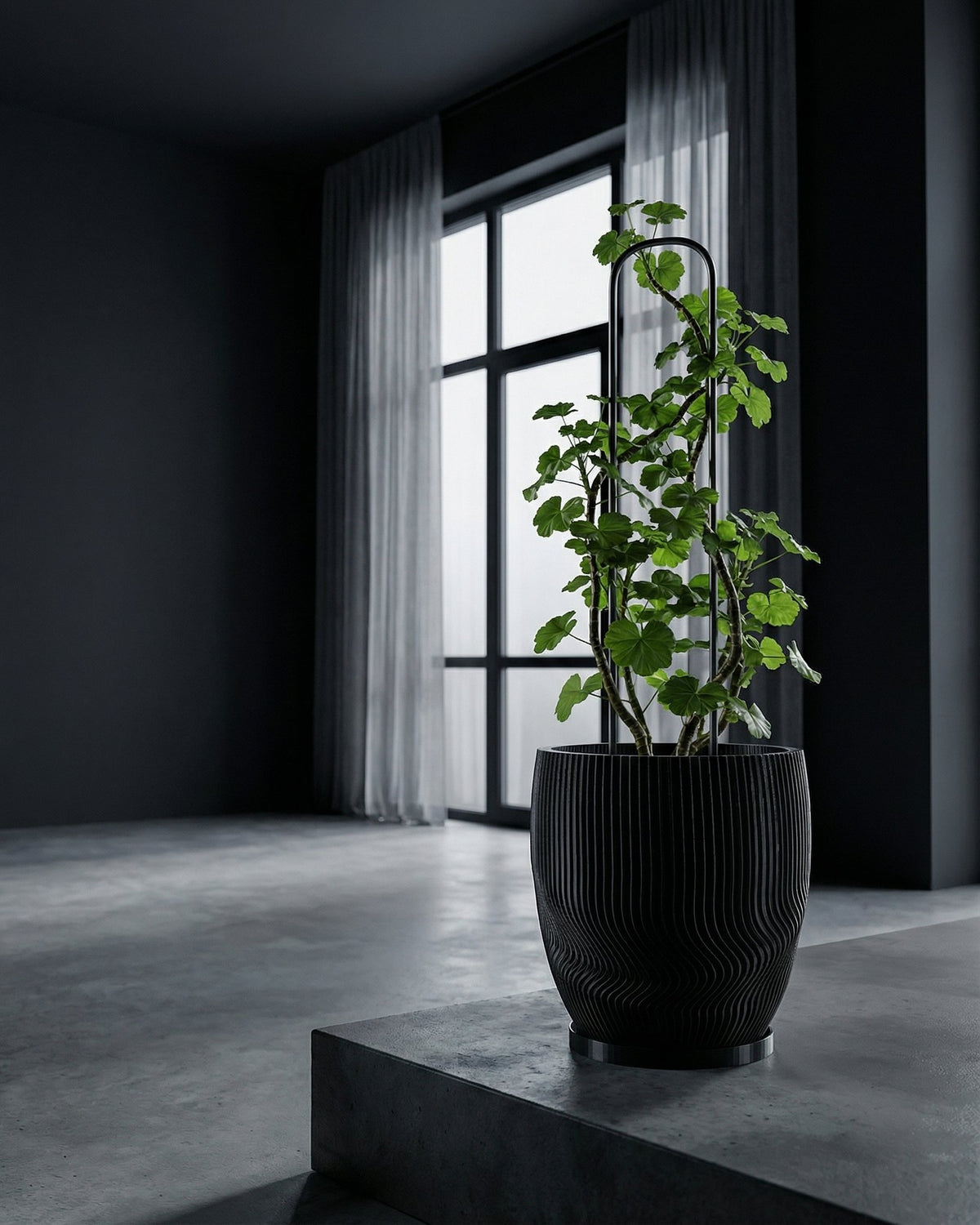 A black planter pot with a green plant inside, sitting on a gray platform in front of a window with sheer curtains.