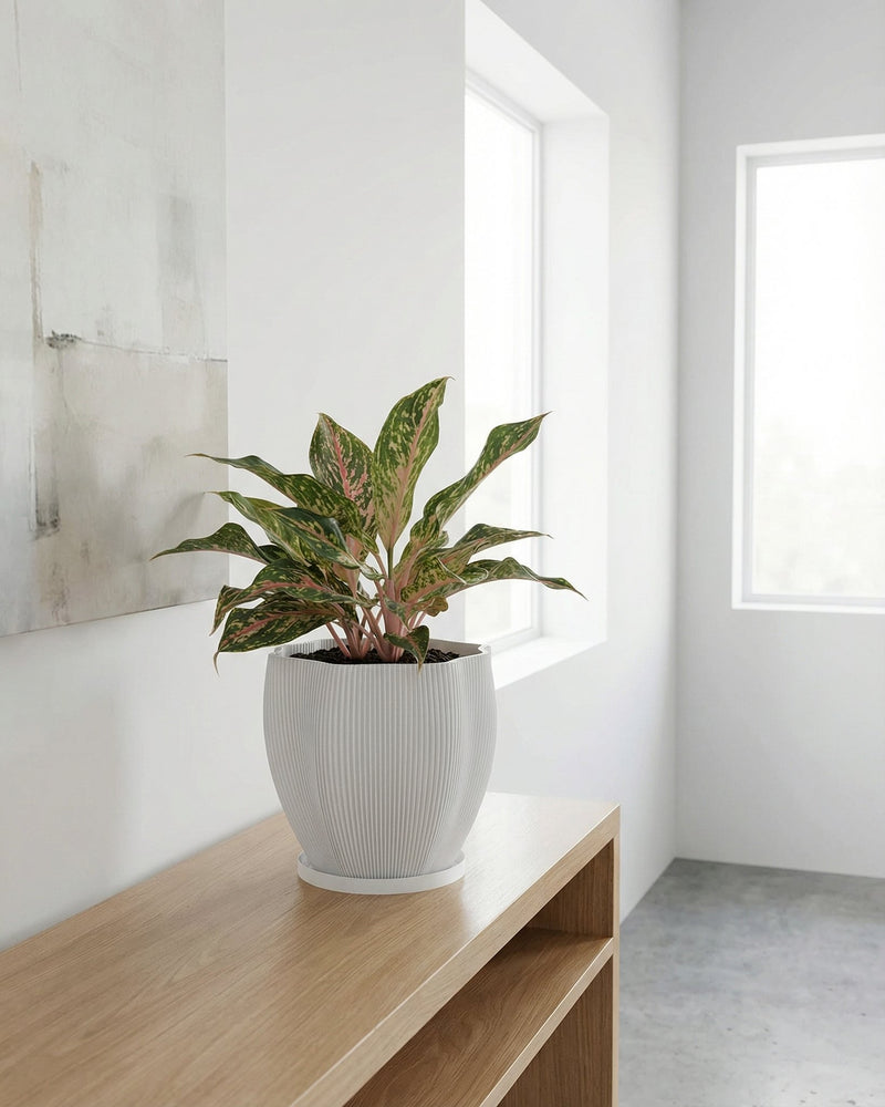 A string of pearls plant spills from a white, textured planter pot on a wooden console table in a room with dark green walls.