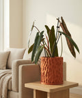 A textured orange planter pot sits on a wooden table next to a beige couch. The pot contains a green plant with long leaves.