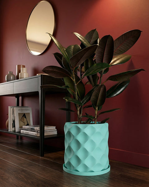 A Ficus Elastica plant in a light blue planter pot with a geometric pattern sits on a dark wood floor.