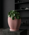 A pink planter pot with a textured design holds a green tree, sitting on a woven rug next to a wooden table.