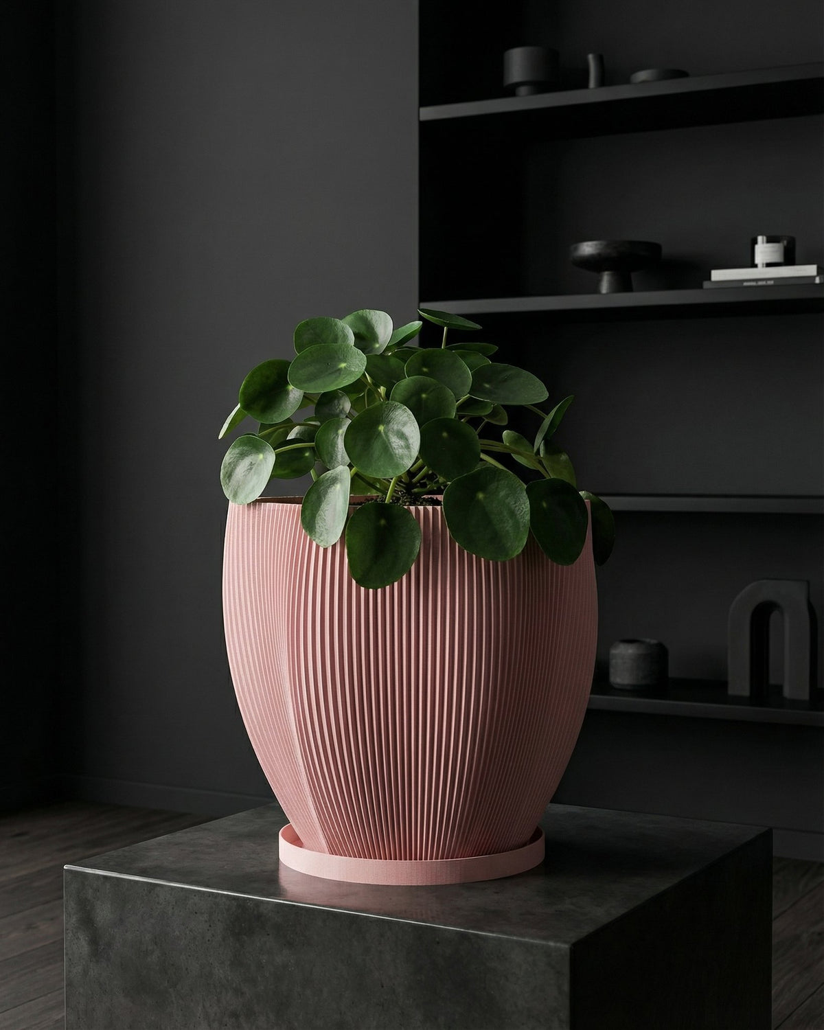 A pink planter pot with a textured design holds a green tree, sitting on a woven rug next to a wooden table.