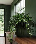 A green planter pot with a plant sits on a wooden shelf in front of a window. The pot has a ribbed design.