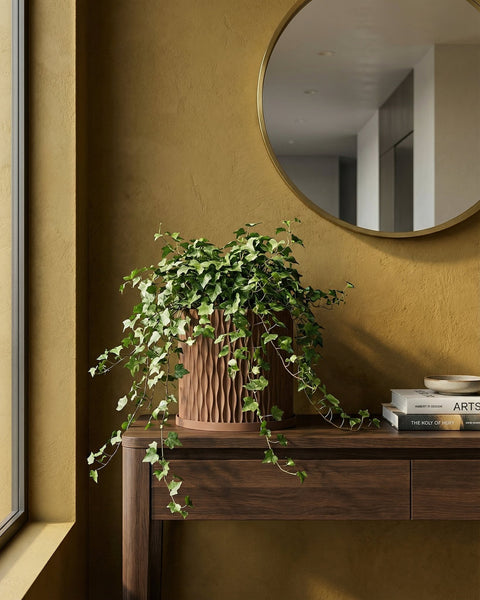 A brown textured planter pot with a green plant next to a gray couch on a wooden floor.