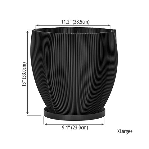 Charcoal Black Coconut