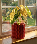 A red planter pot with a textured surface sits on a gray floor, holding a small tree with green leaves. A wooden cabinet is nearby.