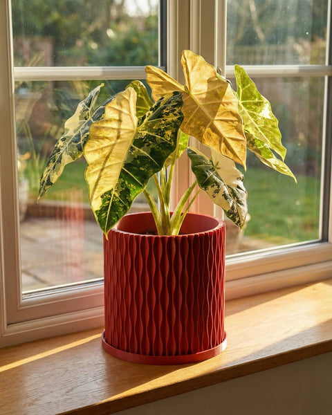 A red planter pot with a textured surface sits on a gray floor, holding a small tree with green leaves. A wooden cabinet is nearby.