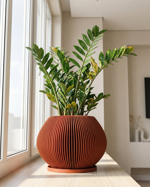 A money tree plant sits in a ribbed, terracotta-colored planter on a wooden cabinet. The cabinet also holds books and a geometric sculpture. A large window with sheer curtains is in the background, offering a view of a city skyline.
