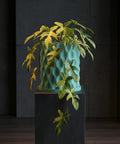A vibrant variegated plant cascades from a textured turquoise planter pot, displayed on a dark pedestal.