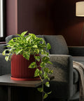 A vibrant pothos plant cascades from a red, textured planter pot, set on a dark windowsill bathed in sunlight.