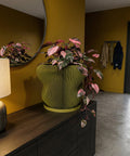 A green plant in a yellow striped planter pot sits on a wooden windowsill in front of a window with a view of the sky.