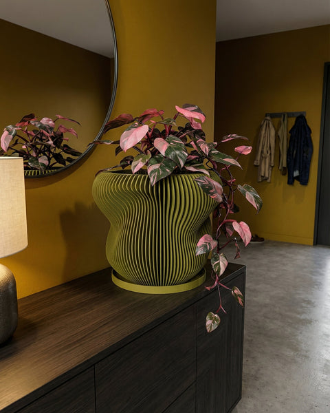 A green plant in a yellow striped planter pot sits on a wooden windowsill in front of a window with a view of the sky.