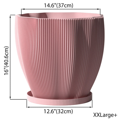 Candy Pink Coconut