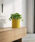 A large green plant sits in a textured yellow planter pot, next to a wooden table and a coat rack with scarves and a bag.