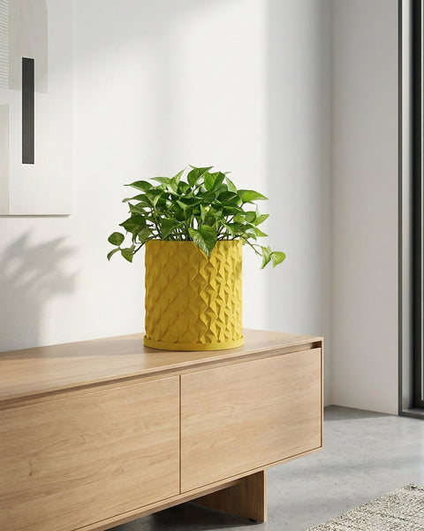 A large green plant sits in a textured yellow planter pot, next to a wooden table and a coat rack with scarves and a bag.