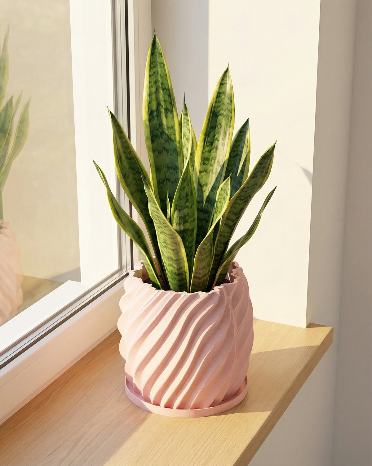 A snake plant in a pink, spiral-designed planter pot sits on a wooden shelf next to a window.