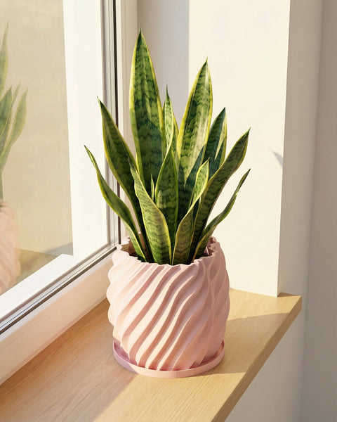 A snake plant in a pink, spiral-designed planter pot sits on a wooden shelf next to a window.