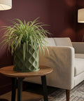 A green planter pot with a spider plant sits on a wooden table next to a beige couch.