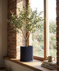 A dark blue planter pot with a textured, swirling design sits on a wooden cabinet, holding a green plant with round leaves.