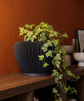 A black planter pot with a plant on a wooden shelf. The pot has a unique ribbed design.