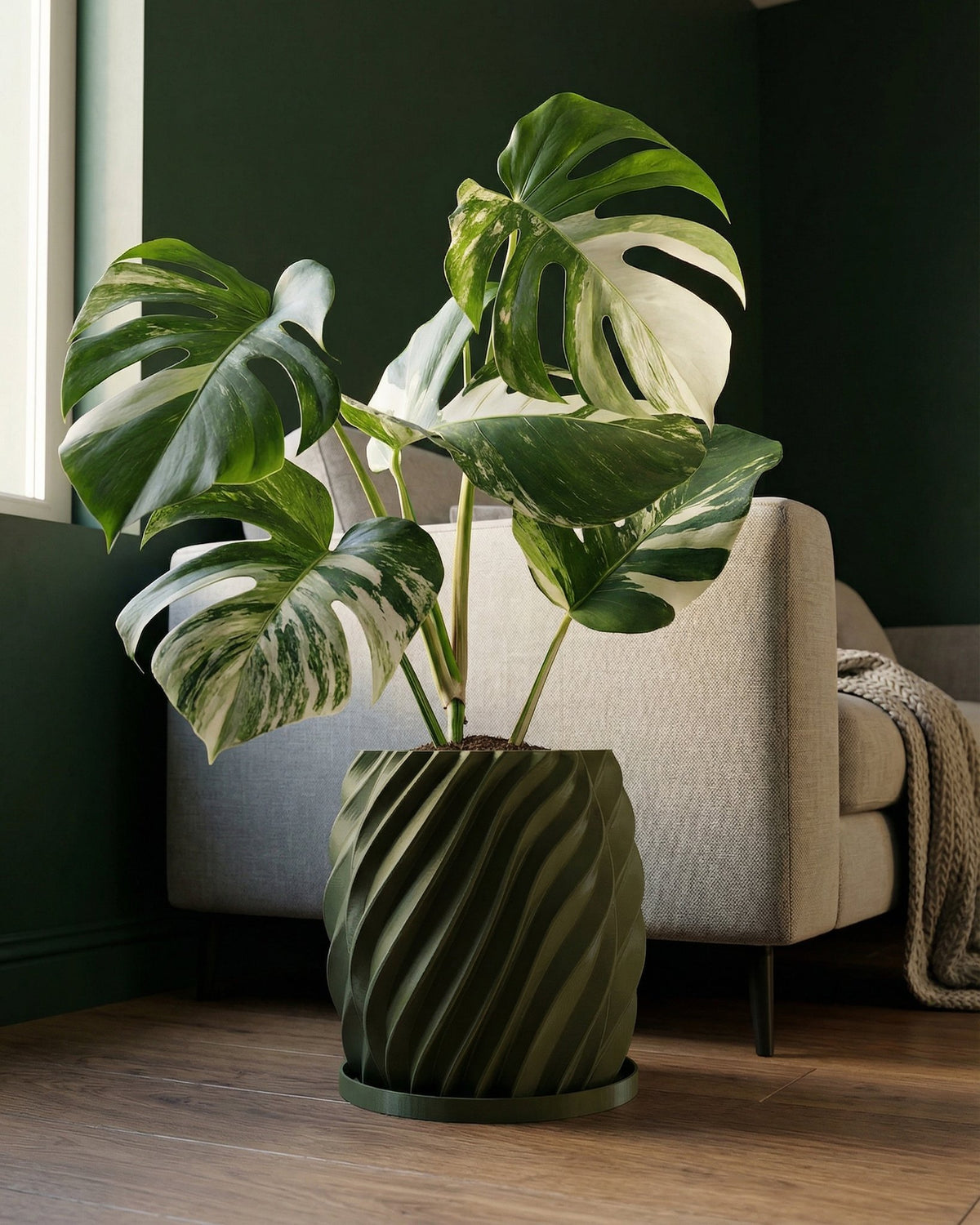 A variegated Monstera plant in a green, twisted-design planter pot sits on a wooden floor in front of a gray couch.