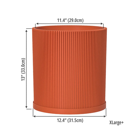 Terracotta Orange Ray