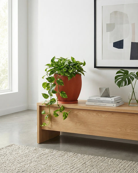 A fiddle leaf fig plant in a textured orange planter pot sits on a wooden table against a green wall.