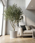 A modern living room with a gray sofa, a tall green plant in a white textured planter pot, and a floor lamp.