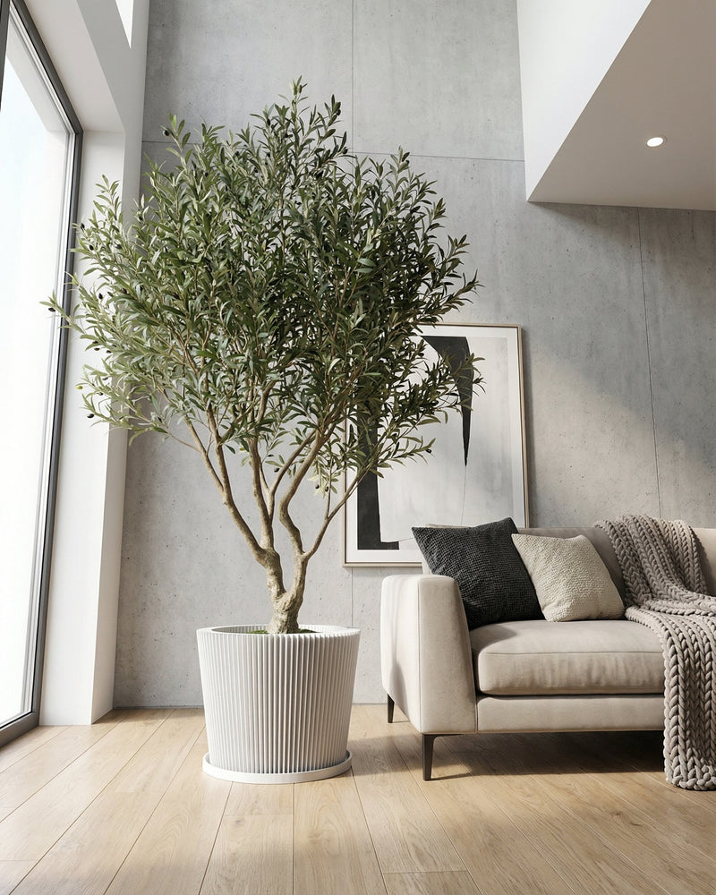 A modern living room with a gray sofa, a tall green plant in a white textured planter pot, and a floor lamp.