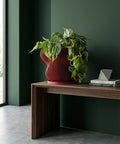 A red planter pot with a plant in it sits on a wooden surface next to a window, casting a shadow on the wall.