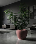 A Schefflera plant in a pink, ribbed planter pot sits on a gray concrete floor in a modern, dark-toned living room.