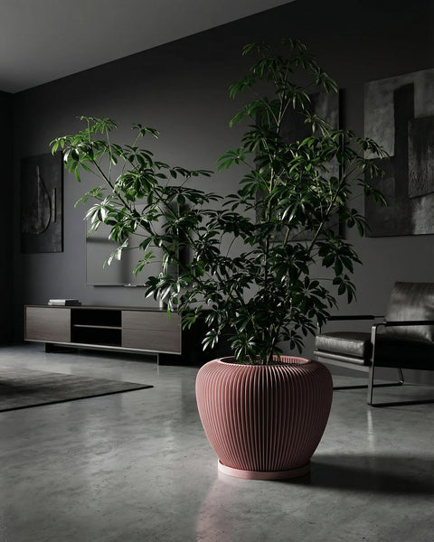 A Schefflera plant in a pink, ribbed planter pot sits on a gray concrete floor in a modern, dark-toned living room.