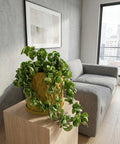 A green plant in a yellow planter pot sits on a wooden table next to a gray couch. A framed picture hangs on the wall.