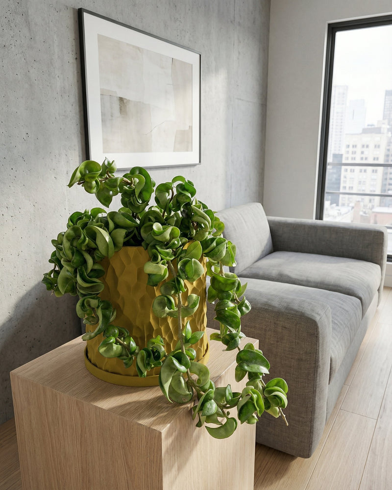 A green plant in a yellow planter pot sits on a wooden table next to a gray couch. A framed picture hangs on the wall.