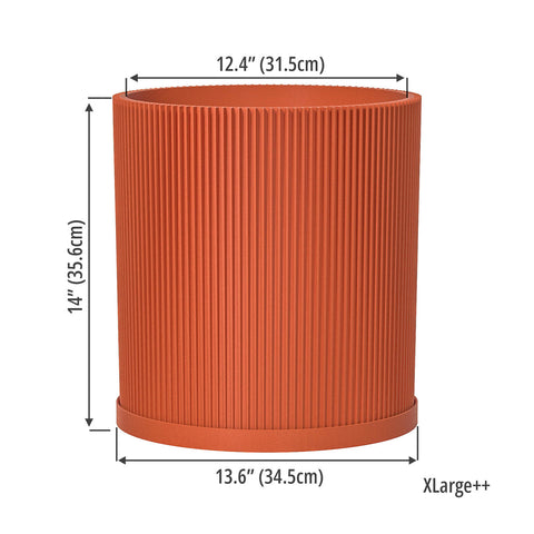 Terracotta Orange Ray