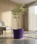 A purple planter pot with a geometric design sits on a dark wood floor next to a plant.