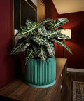 A vibrant golden pothos plant cascades from a textured, light blue planter pot on a wooden shelf.
