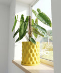 A yellow planter pot with a plant inside sits on a windowsill in front of a window.