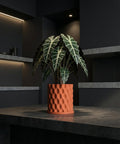 A stylish orange planter pot with a textured surface, holding a lush green plant with white veins, sits on a dark countertop.
