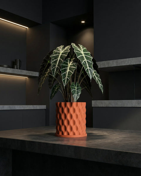 A stylish orange planter pot with a textured surface, holding a lush green plant with white veins, sits on a dark countertop.