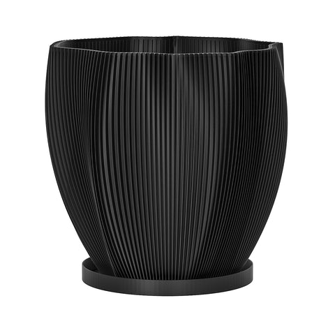 Charcoal Black Coconut