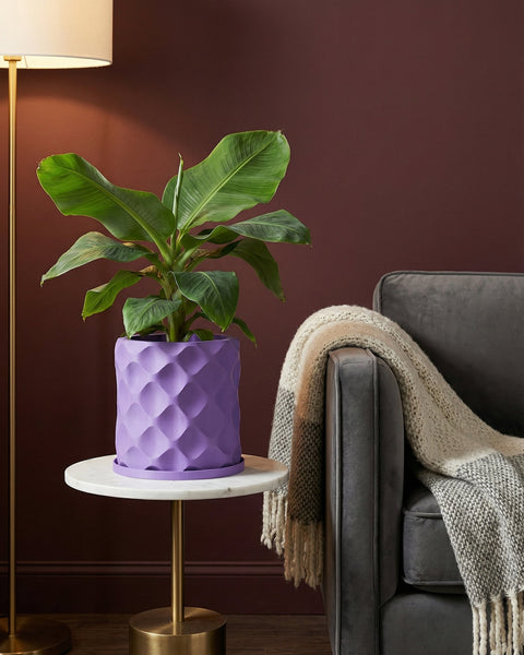 A purple planter pot with a green plant sits on a marble table next to a gray couch with a blanket.