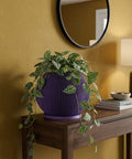 A vibrant purple planter pot sits atop a light wood cabinet, showcasing a lush green plant. A modern lamp and framed artwork add to the stylish interior. The planter's unique ribbed design complements the room's contemporary aesthetic.