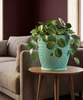 A light blue planter with a woven texture, holding a lush green plant with round leaves, sits on a wooden side table next to a couch.