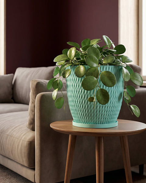 A light blue planter with a woven texture, holding a lush green plant with round leaves, sits on a wooden side table next to a couch.