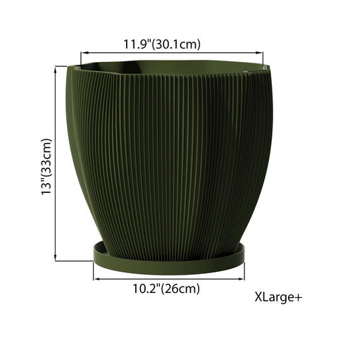 Avocado Green Coconut