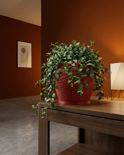 A red planter pot with a green plant sits on a wooden table next to a lamp. The pot has a textured design.