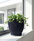 A blue planter pot with a textured design sits on a wooden bench, filled with a lush green plant with unique leaf shapes.