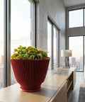 A red planter pot with a Venus flytrap plant inside sits on a light wood console table in front of a large window with a city view. The pot has a ribbed design and a flared base. A geometric metal sculpture and a white lamp are also on the table. The room has a modern, minimalist aesthetic with concrete walls and large windows.
